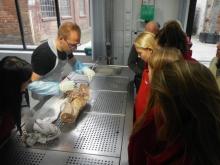 Jesienne warsztaty Grupy Pierwszej Pomocy w Plastinarium w Guben