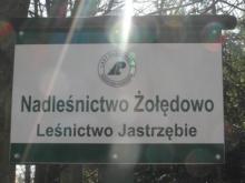 Szlakiem Jeremiego Przybory...